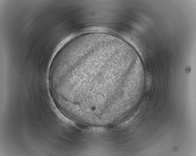 X0000098171090200805151111