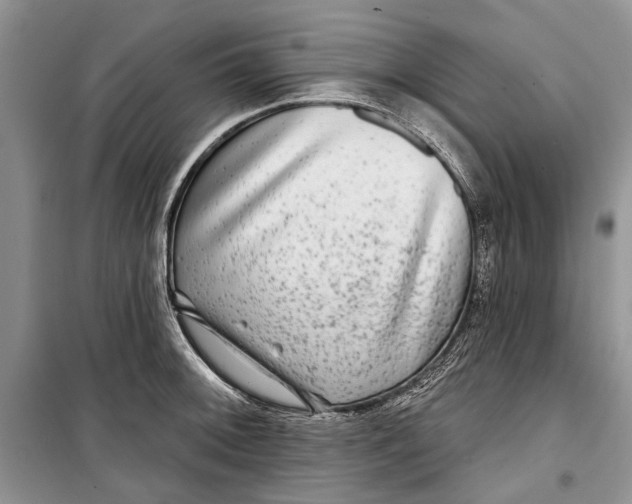 X0000098171092200805151111