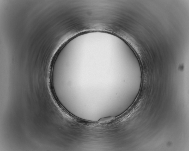 X0000098171093200805151111