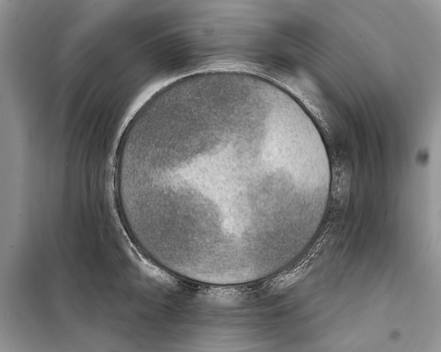 X0000098171094200805151111