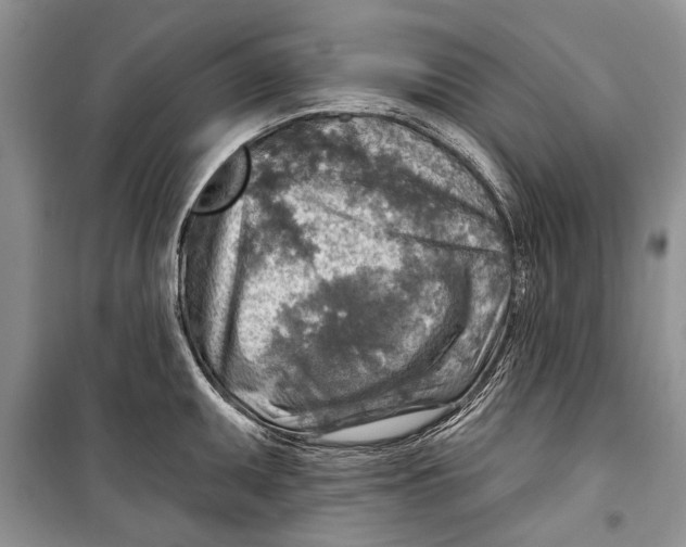 X0000098171095200805151111