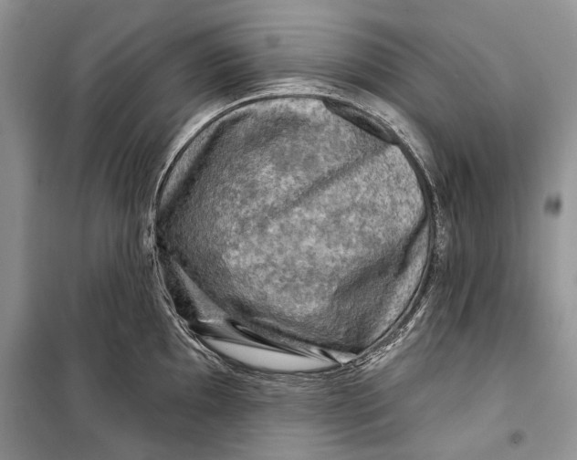 X0000098171097200805151110