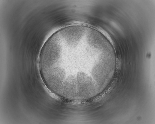 X0000098171098200805151110