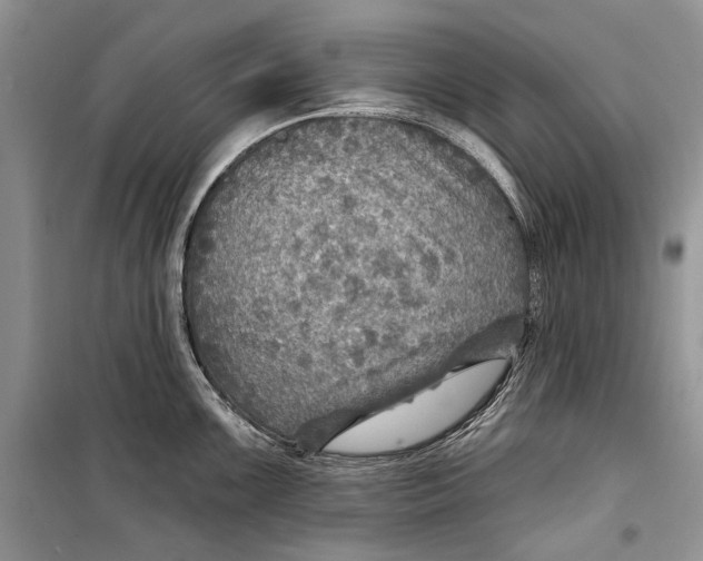 X0000098171099200805151110