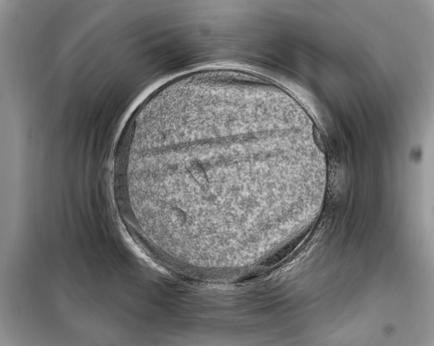 X0000098171100200805151110