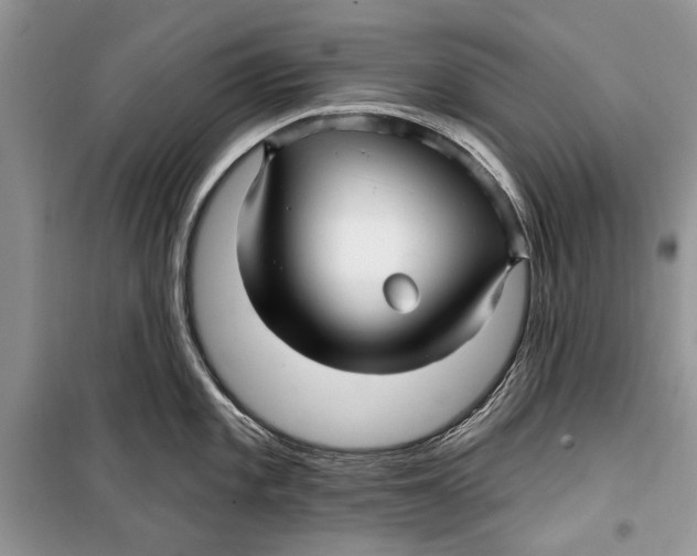 X0000098171101200805151110