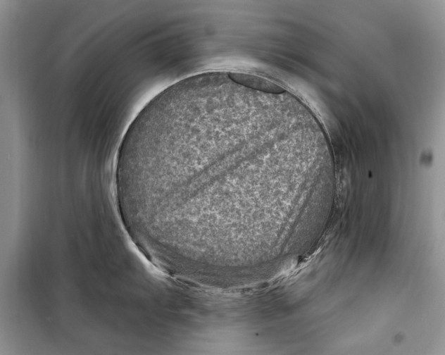 X0000098171103200805151110