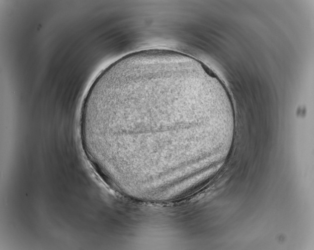 X0000098171104200805151110