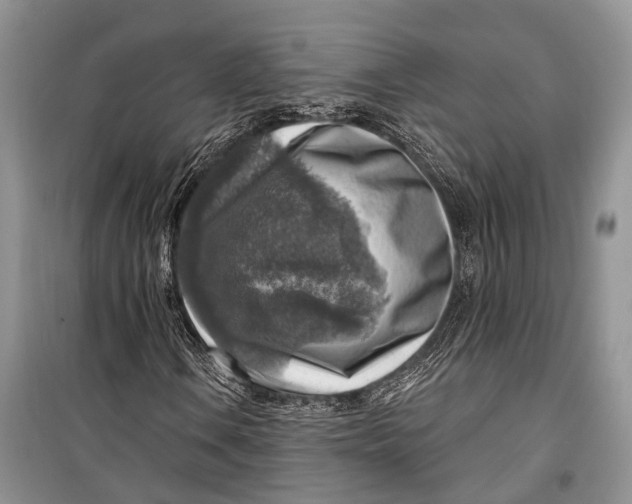 X0000098171106200805151110