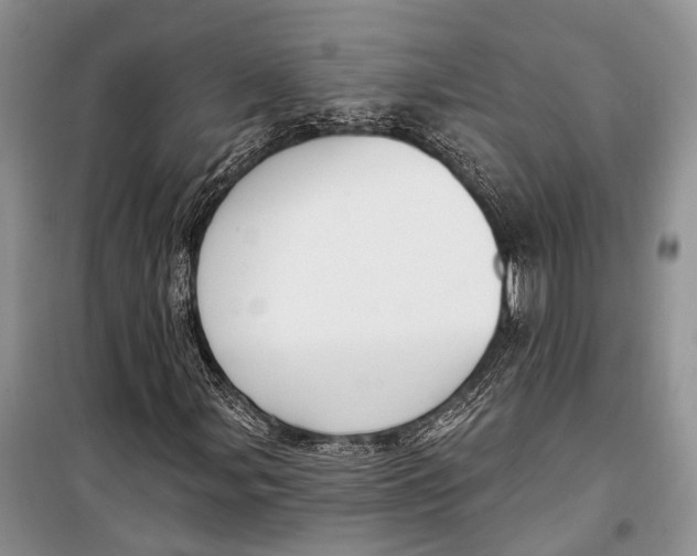 X0000098171107200805151110