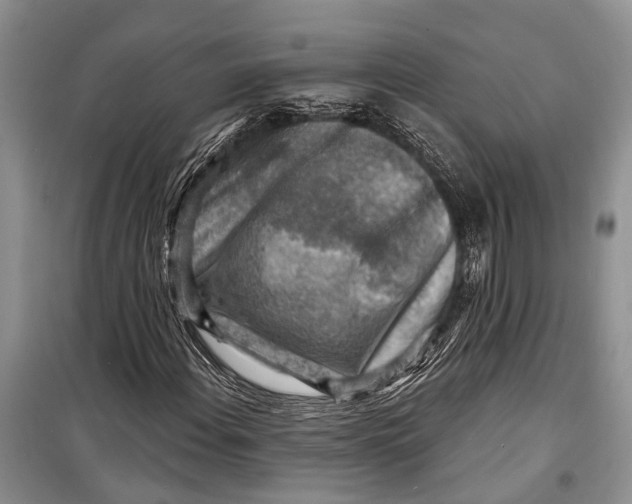 X0000098171108200805151110