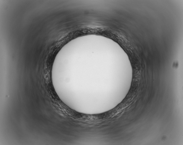 X0000098171109200805151110