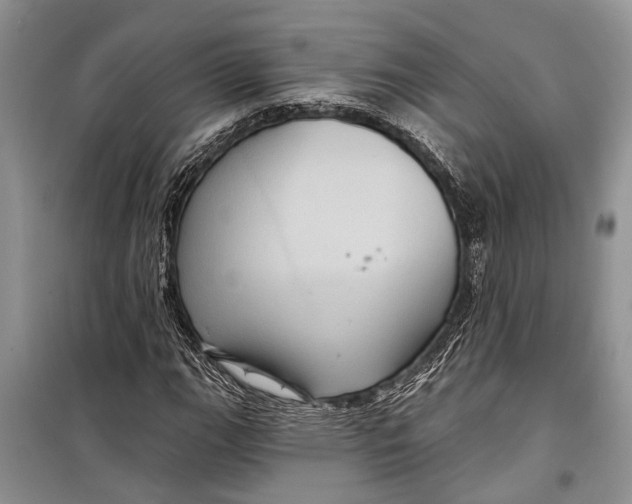 X0000098171111200805151110