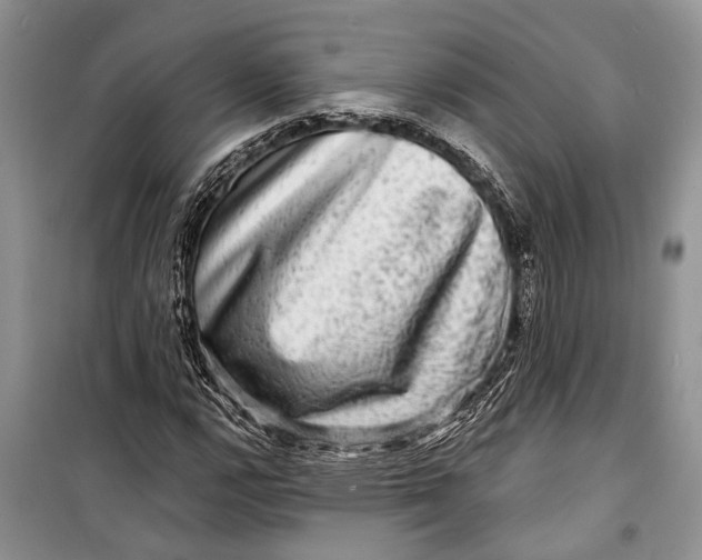 X0000098171112200805151110