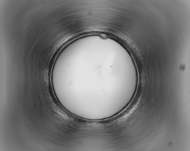 X0000098171113200805151110