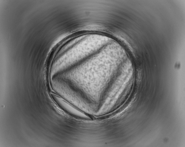 X0000098171114200805151110