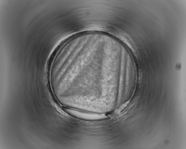 X0000098171116200805151110