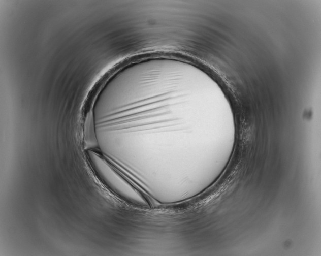 X0000098171118200805151110