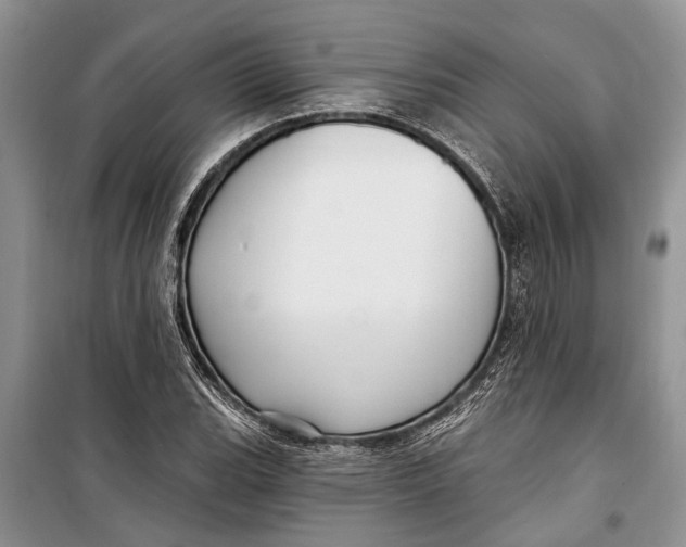 X0000098171119200805151110