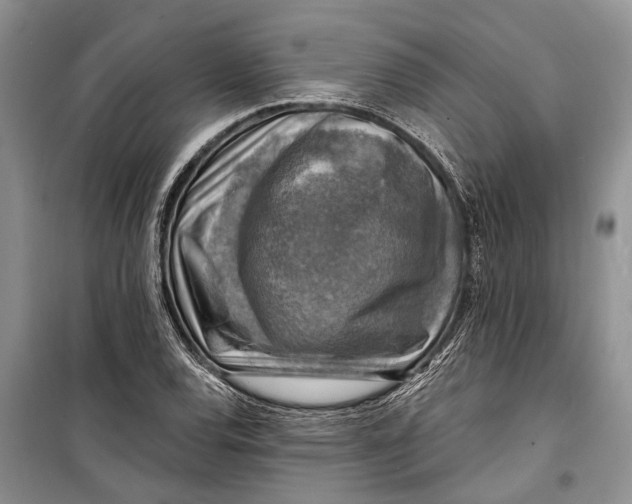 X0000098171120200805151110