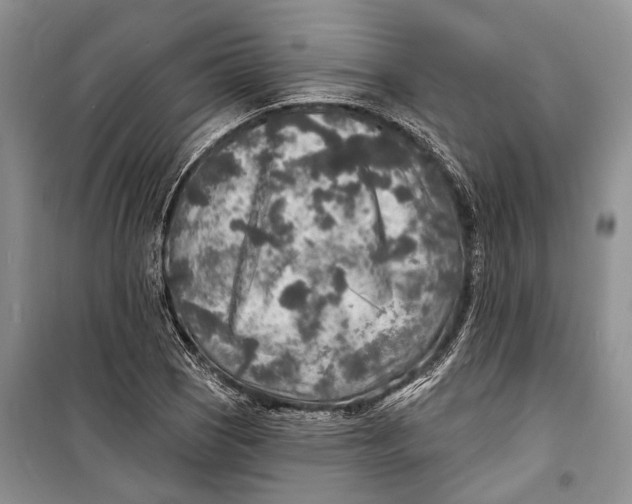 X0000098171121200805151110