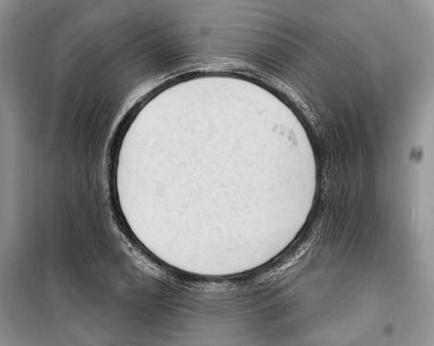 X0000098171122200805151110