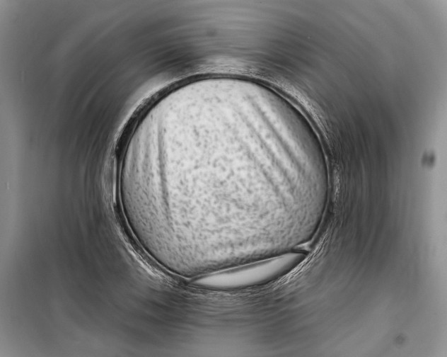 X0000098171123200805151110