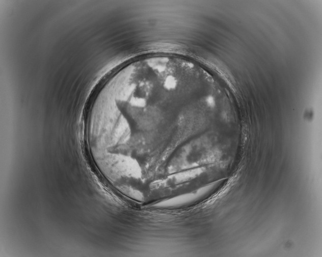 X0000098171125200805151110