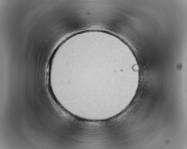 X0000098171126200805151110