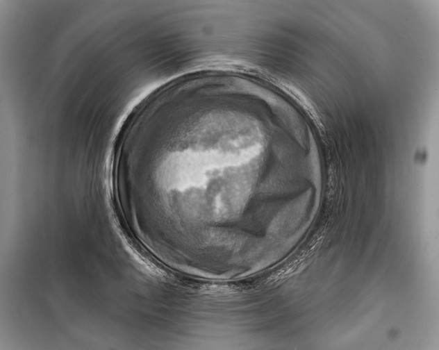 X0000098171128200805151110