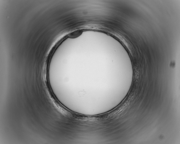 X0000098171131200805151110