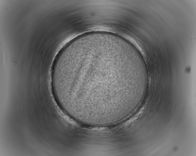 X0000098171133200805151110