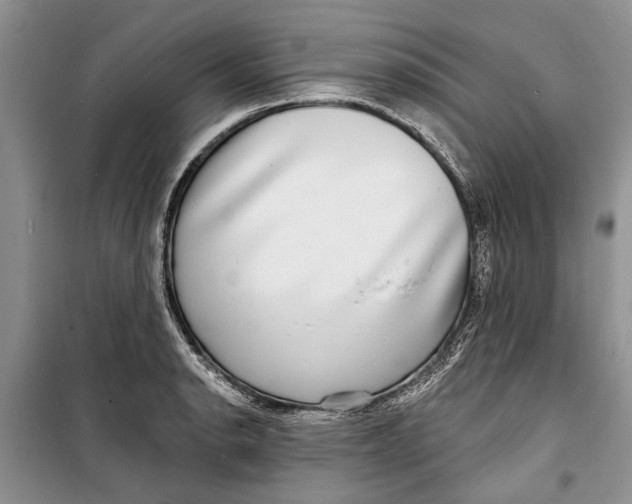 X0000098171134200805151110