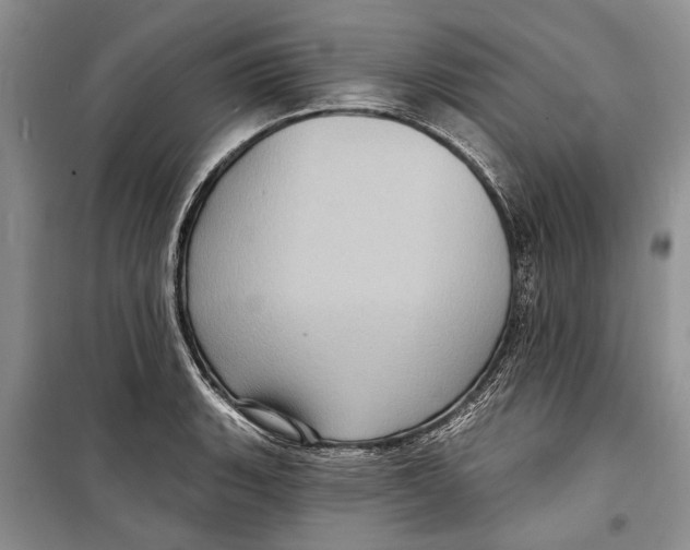 X0000098171135200805151110