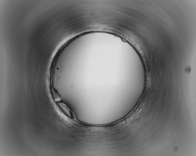 X0000098171136200805151110