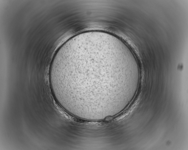 X0000098171137200805151110