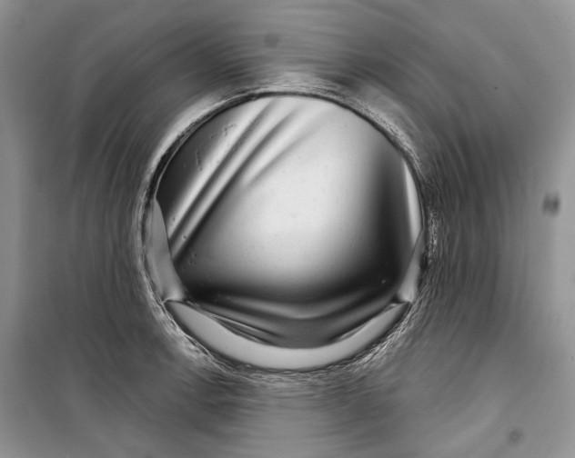 X0000098171138200805151110