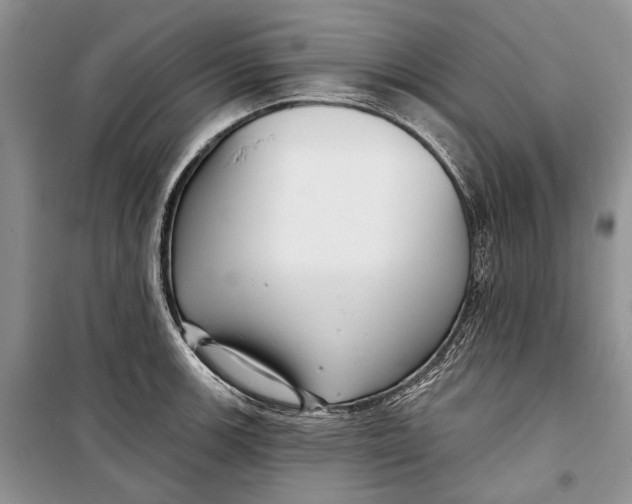 X0000098171139200805151110