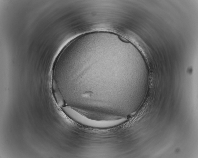 X0000098171140200805151110