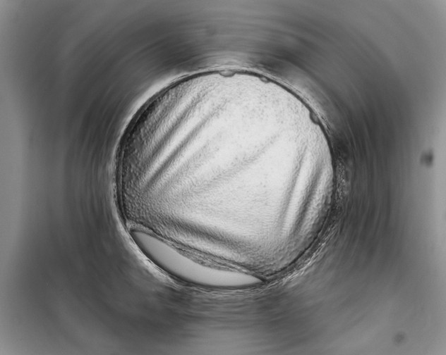 X0000098171142200805151110