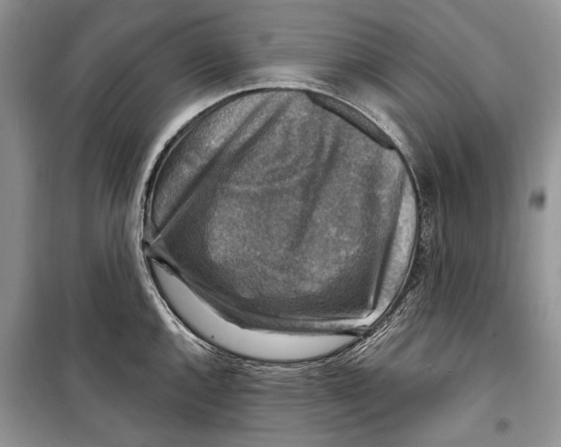 X0000098171144200805151110