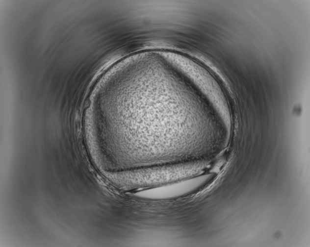 X0000098171145200805151110