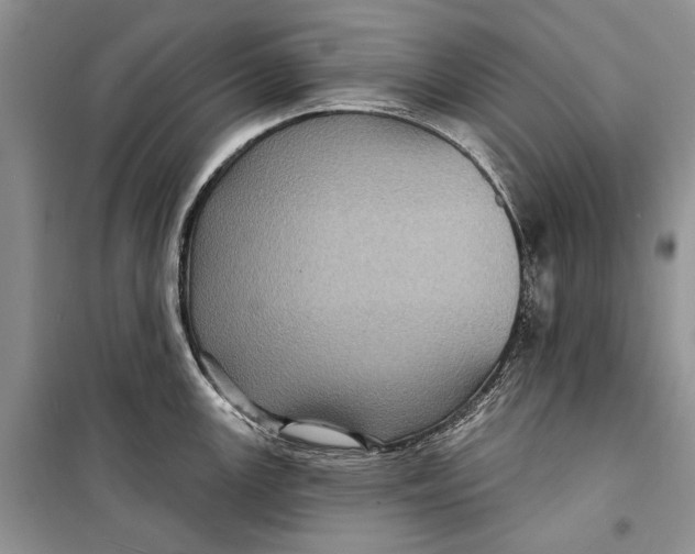 X0000098171147200805151110