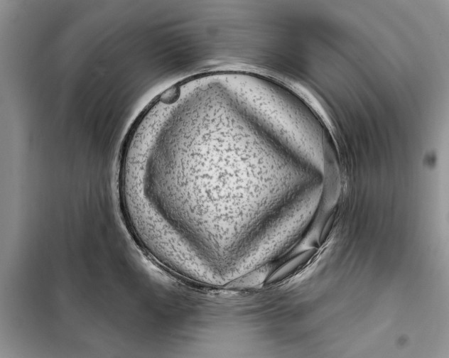 X0000098171149200805151110