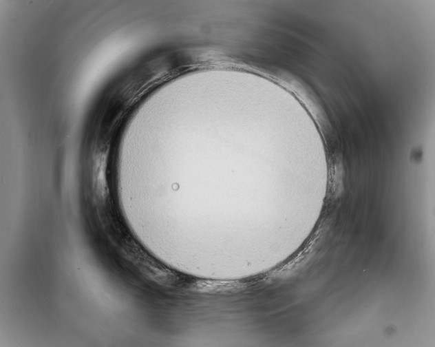 X0000098171150200805151110