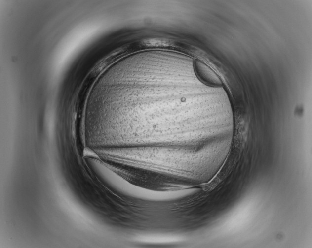 X0000098171151200805151110