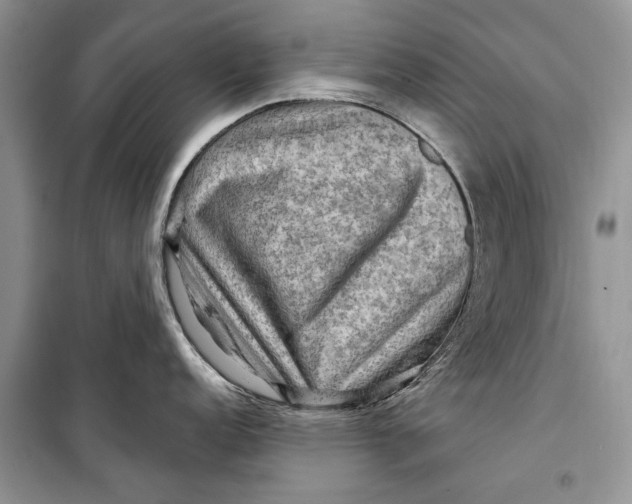 X0000098171152200805151110