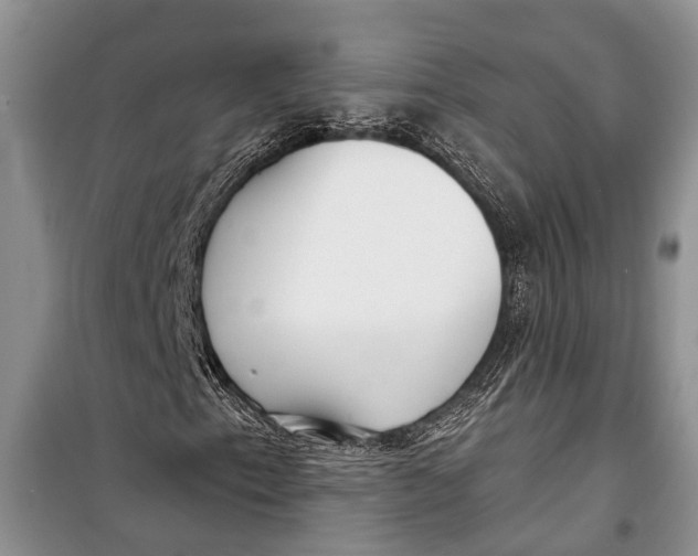 X0000098171153200805151110