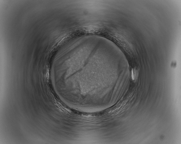 X0000098171155200805151110