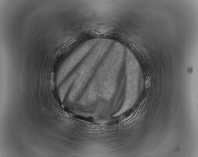 X0000098171156200805151110